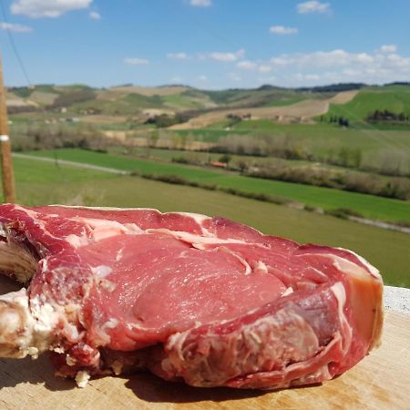 Agriturismo Montepinci 몬탈치노 외부 사진