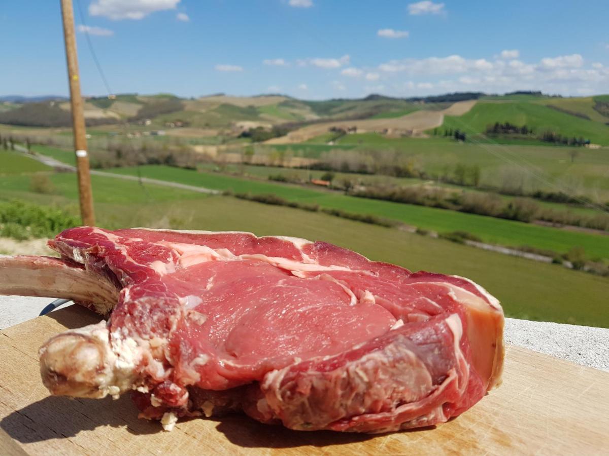 Agriturismo Montepinci 몬탈치노 외부 사진